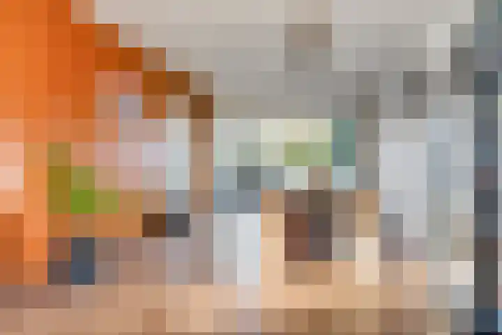 Oldenoert 96 Leek thumbnail 6