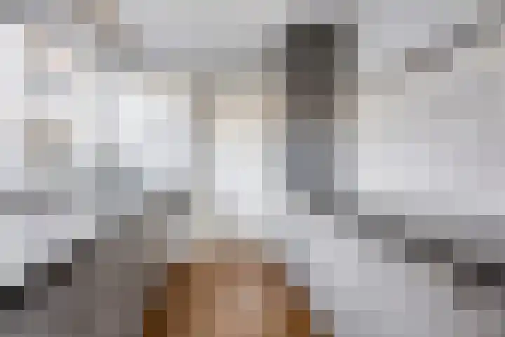 Oldenoert 96 Leek thumbnail 8