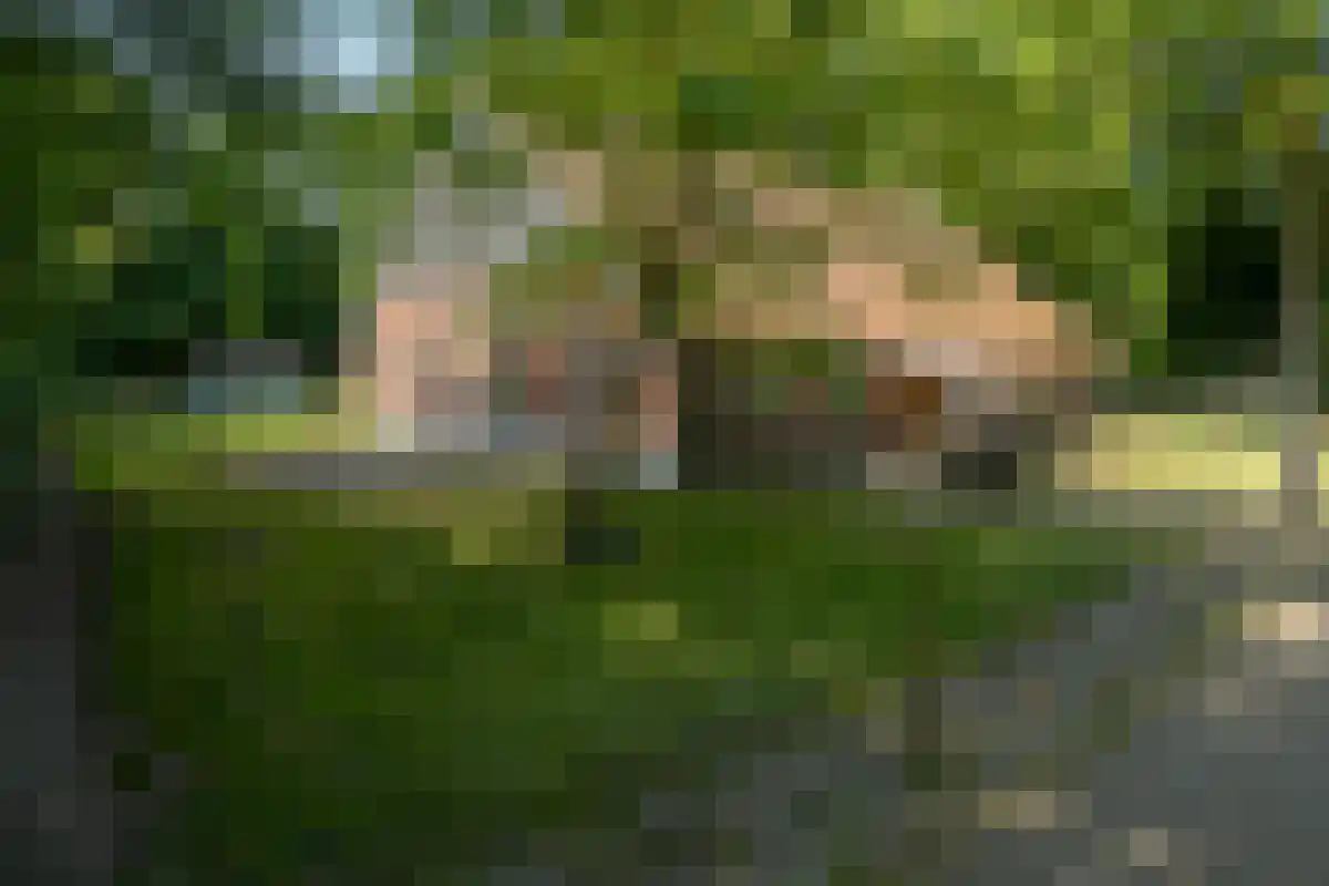 Oldenzaalsedijk 20 Deurningen thumbnail 10