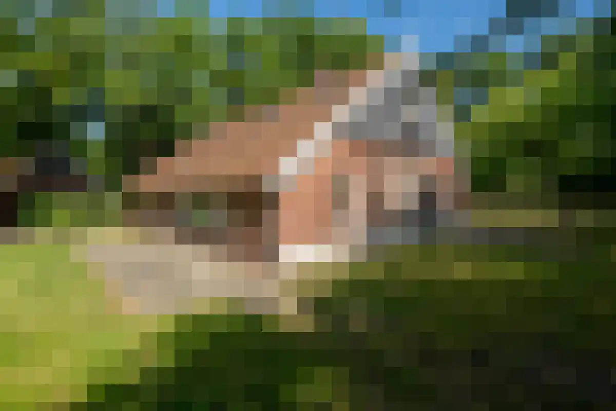 Oldenzaalsedijk 20 Deurningen thumbnail 12