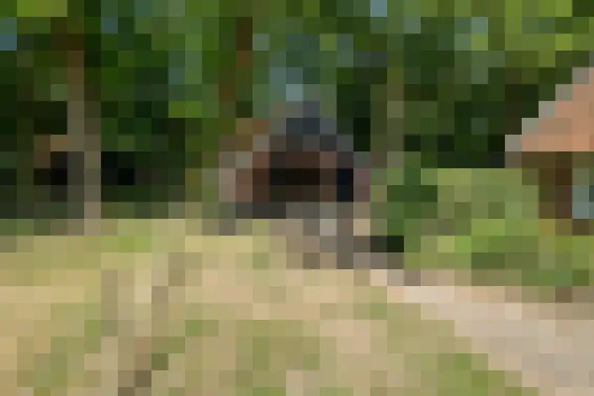 Oldenzaalsedijk 20 Deurningen thumbnail 13
