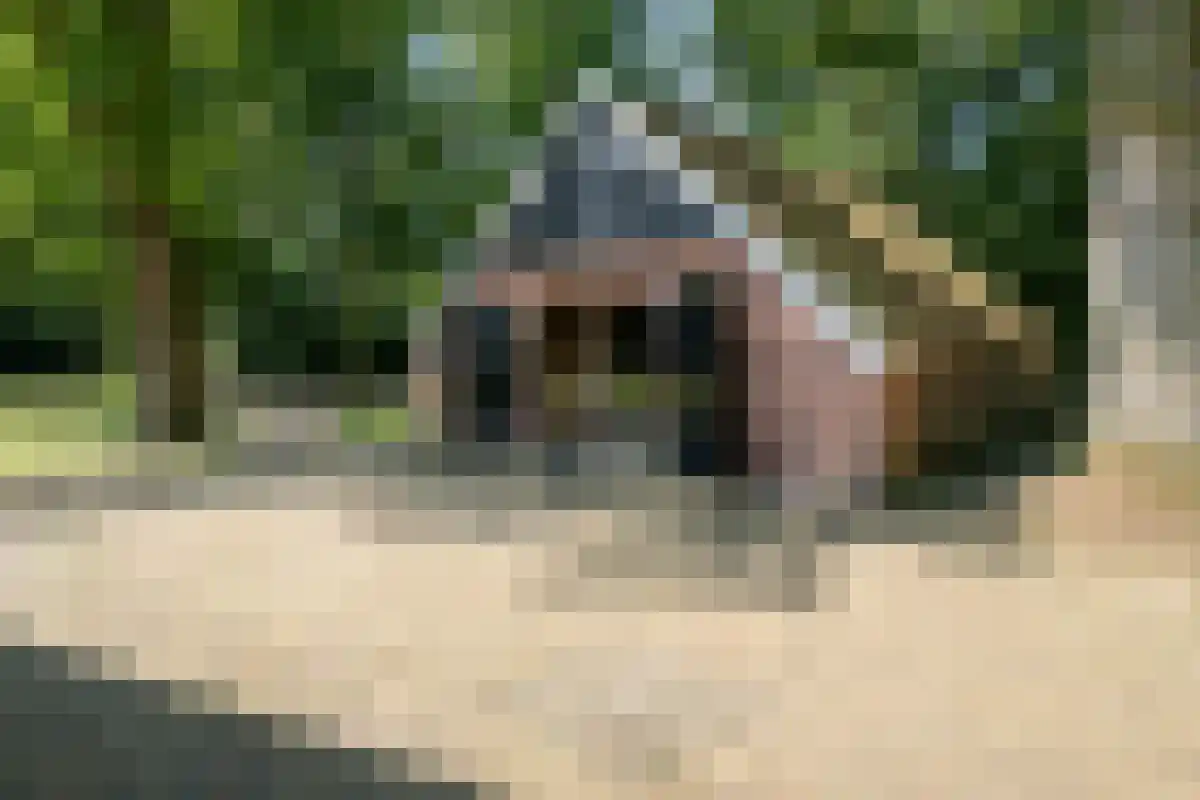 Oldenzaalsedijk 20 Deurningen thumbnail 14