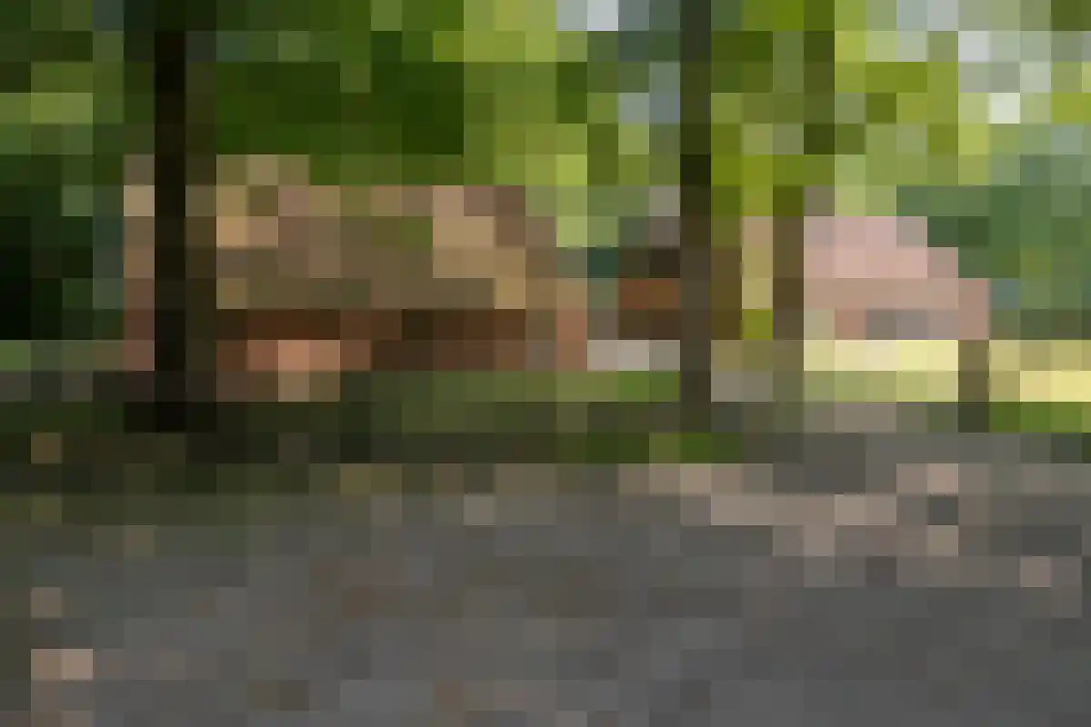 Oldenzaalsedijk 20 Deurningen thumbnail 15