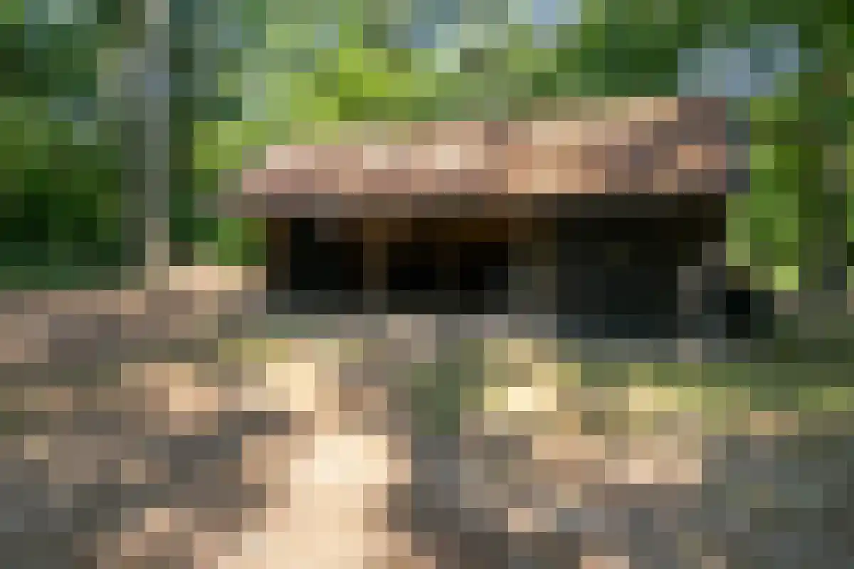 Oldenzaalsedijk 20 Deurningen thumbnail 16