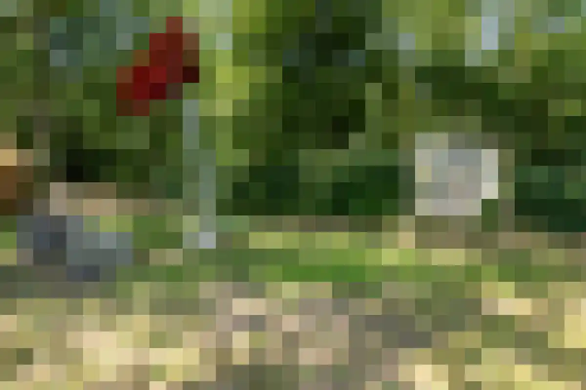 Oldenzaalsedijk 20 Deurningen thumbnail 18