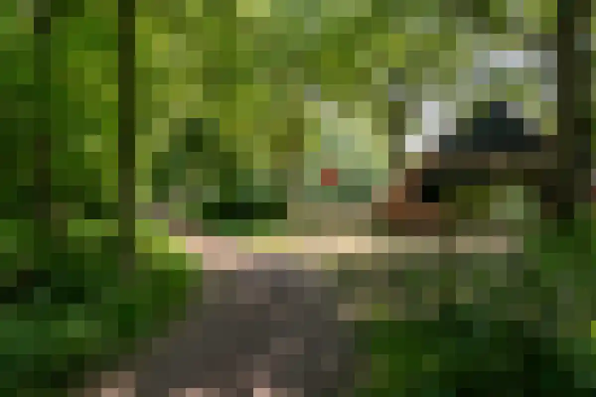 Oldenzaalsedijk 20 Deurningen thumbnail 19