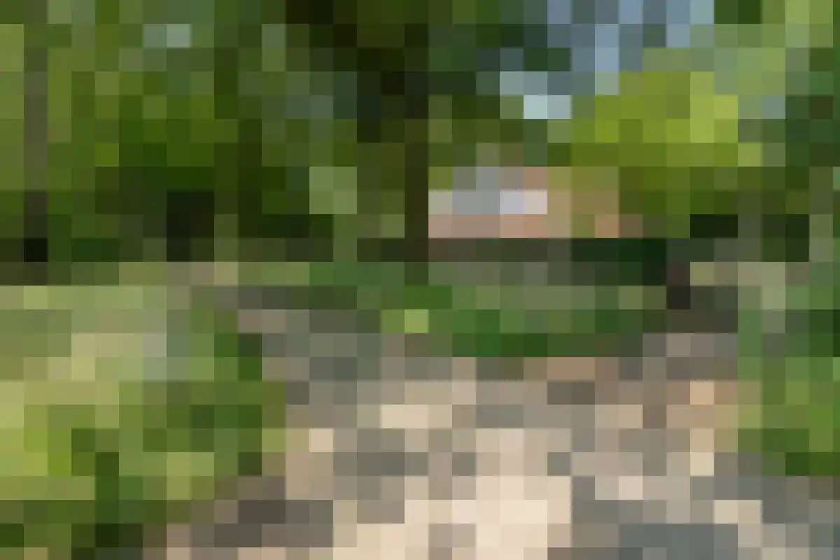 Oldenzaalsedijk 20 Deurningen thumbnail 21
