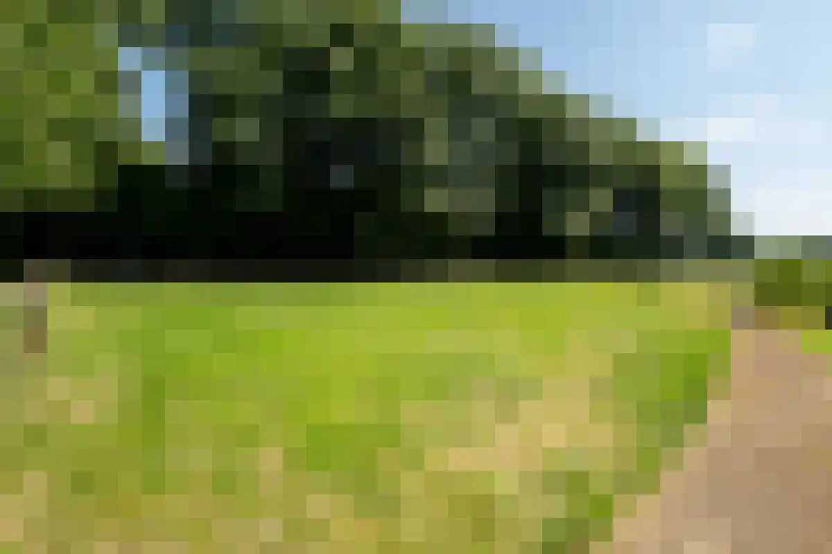Oldenzaalsedijk 20 Deurningen thumbnail 23