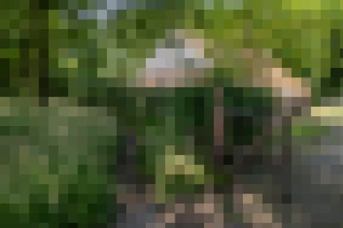 Oldenzaalsedijk 20 Deurningen thumbnail 25