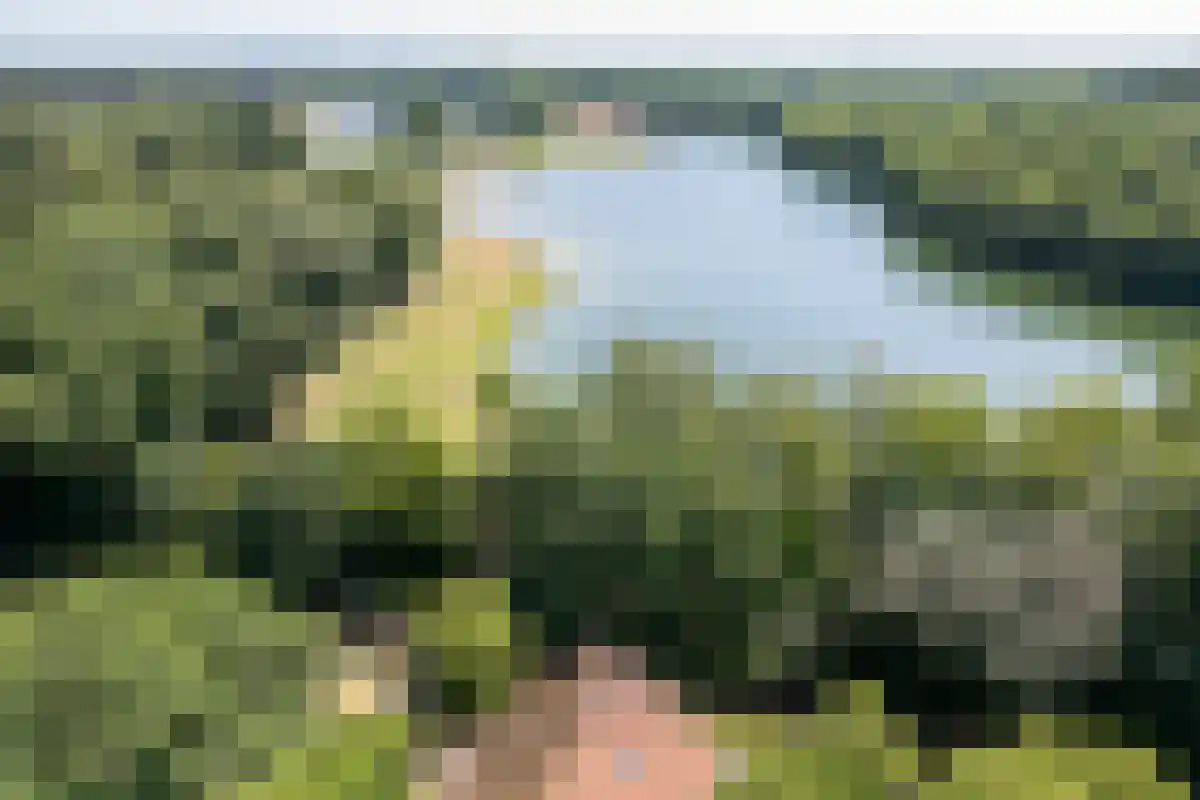 Oldenzaalsedijk 20 Deurningen thumbnail 6