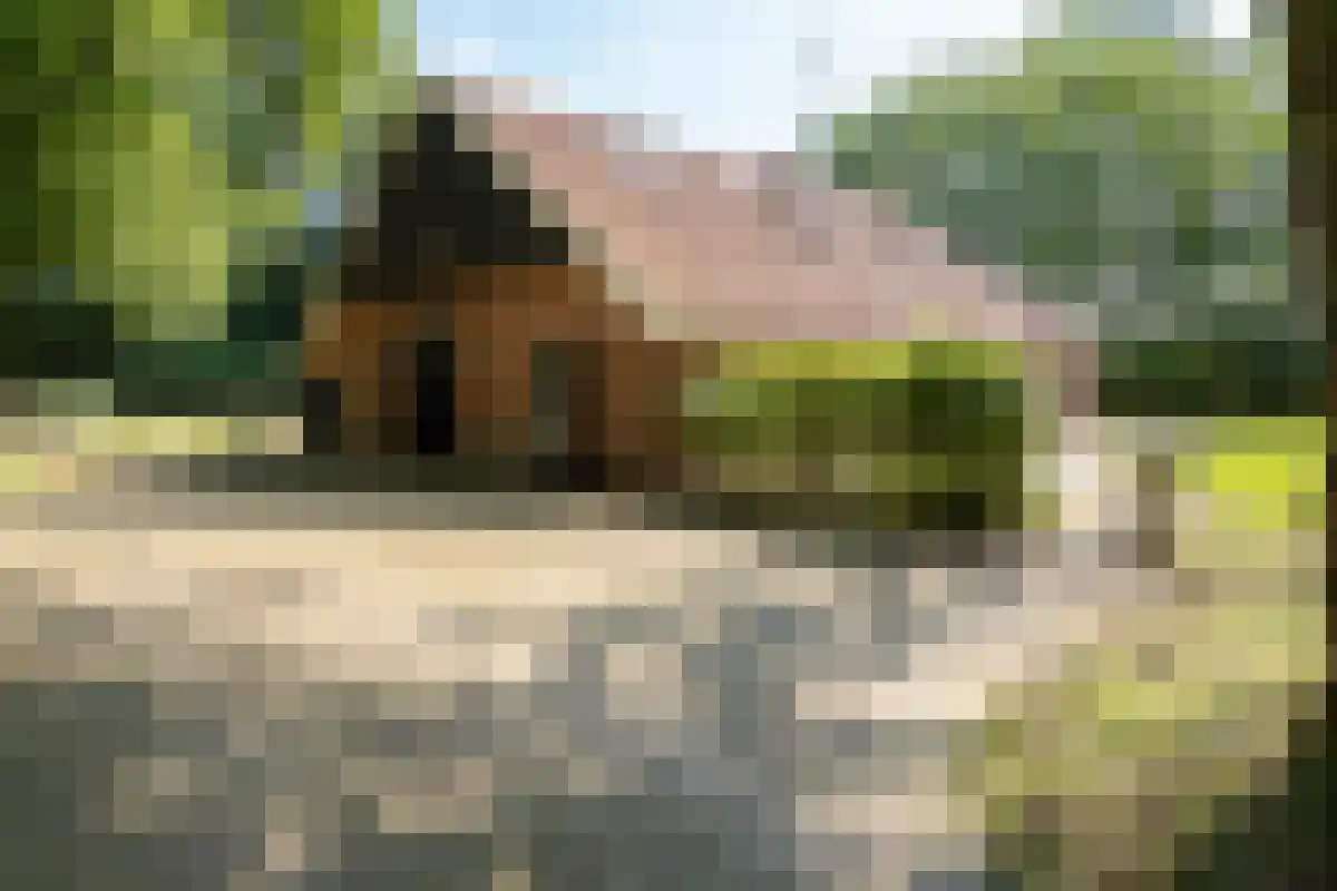 Oldenzaalsedijk 20 Deurningen thumbnail 8