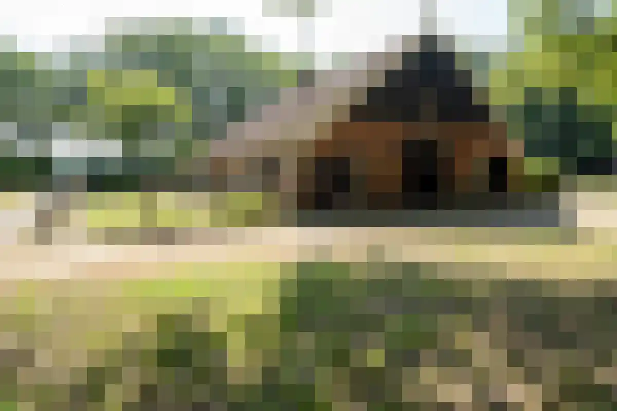 Oldenzaalsedijk 20 Deurningen thumbnail 9
