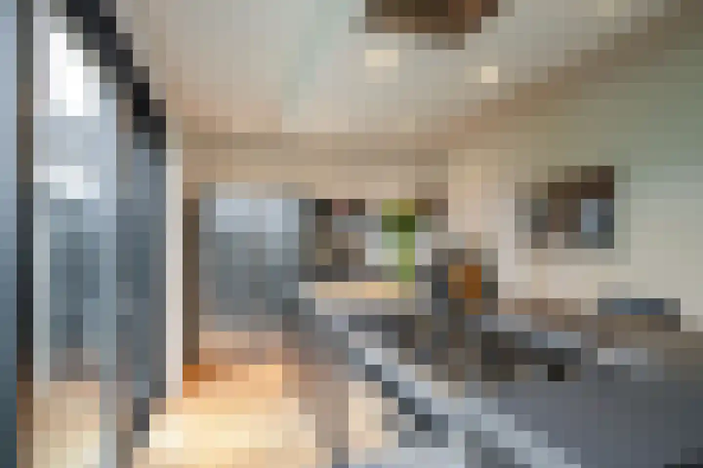 Oldenzaalsestraat 108 Losser thumbnail 19