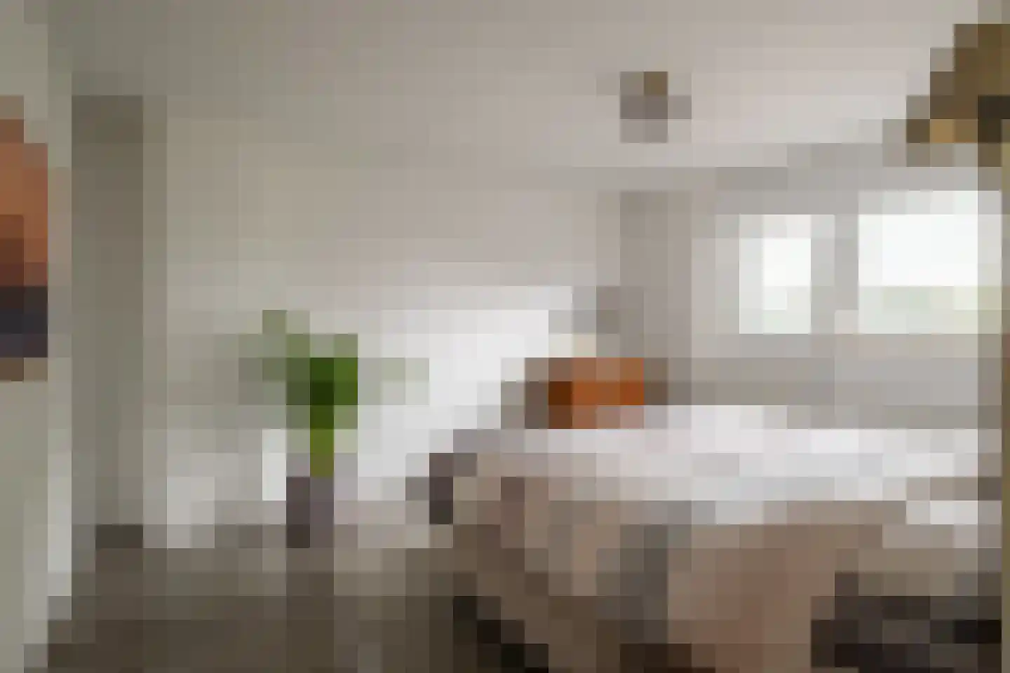 Oldenzaalsestraat 108 Losser thumbnail 23