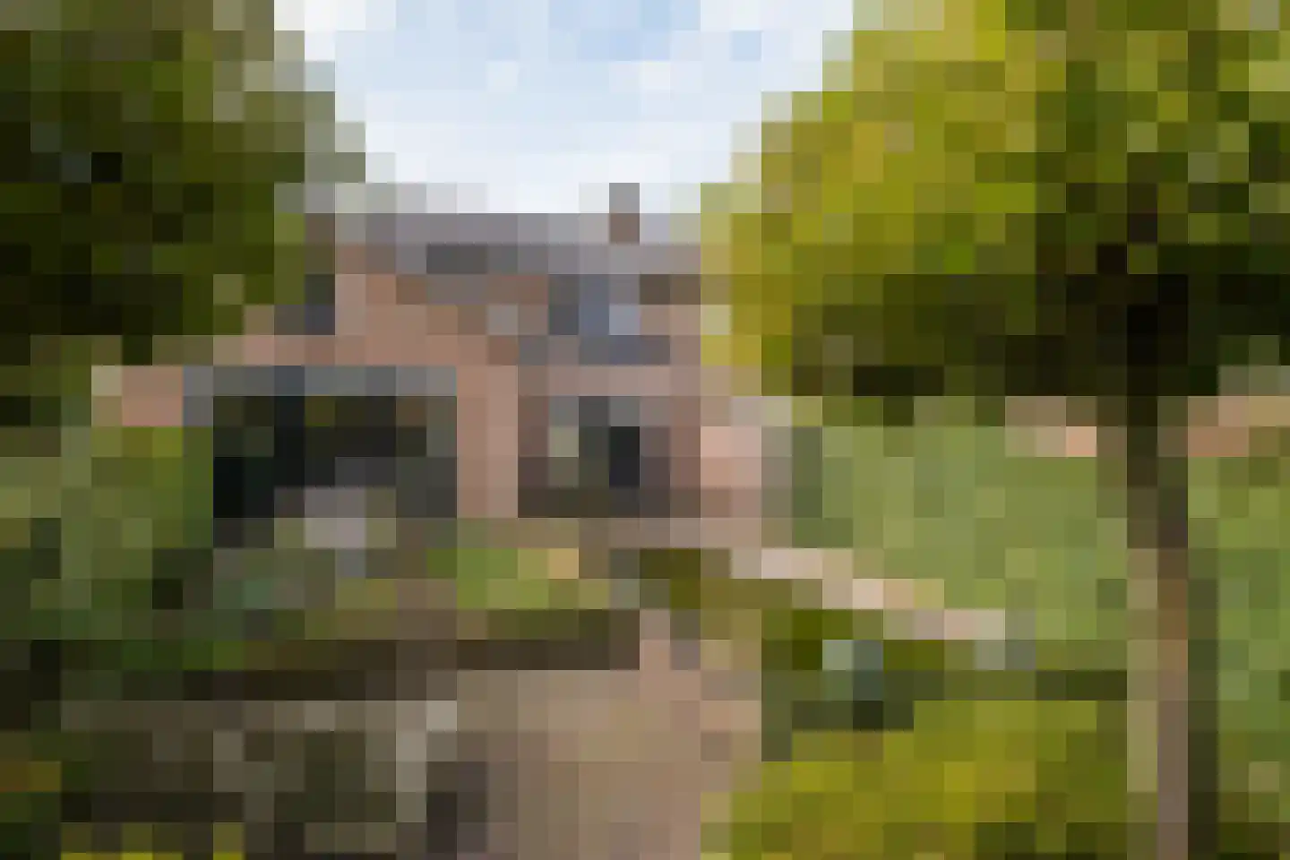 Oldenzaalsestraat 108 Losser thumbnail 43