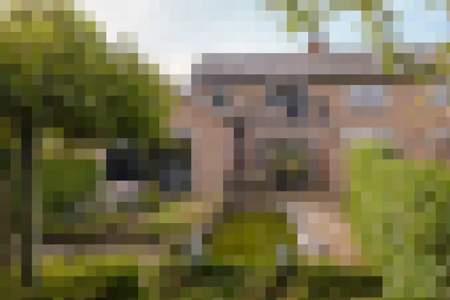 Oldenzaalsestraat 108 Losser thumbnail 44