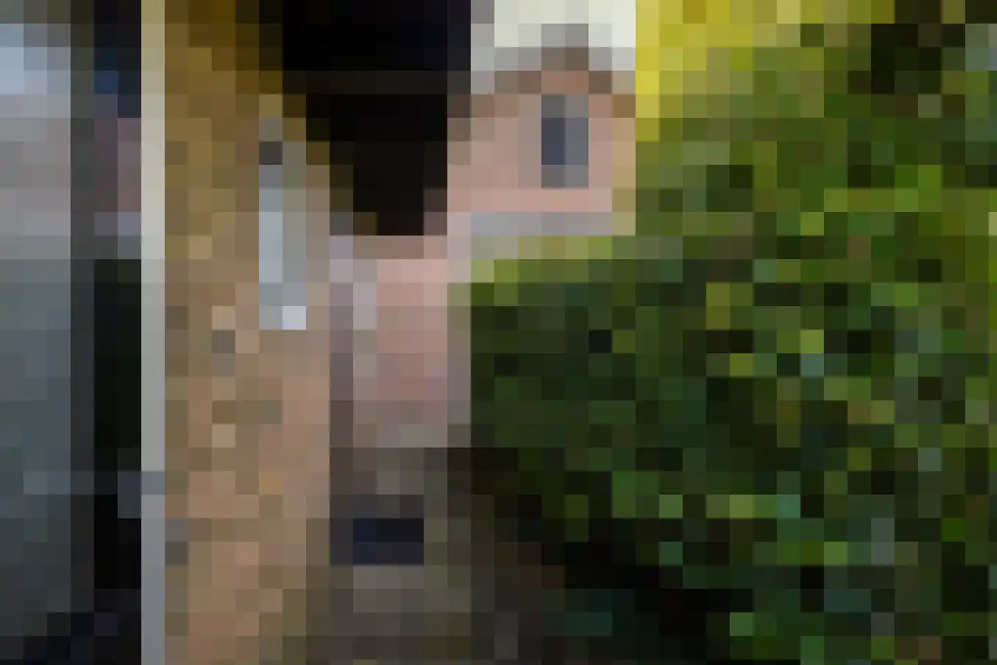 Oldenzaalsestraat 108 Losser thumbnail 47