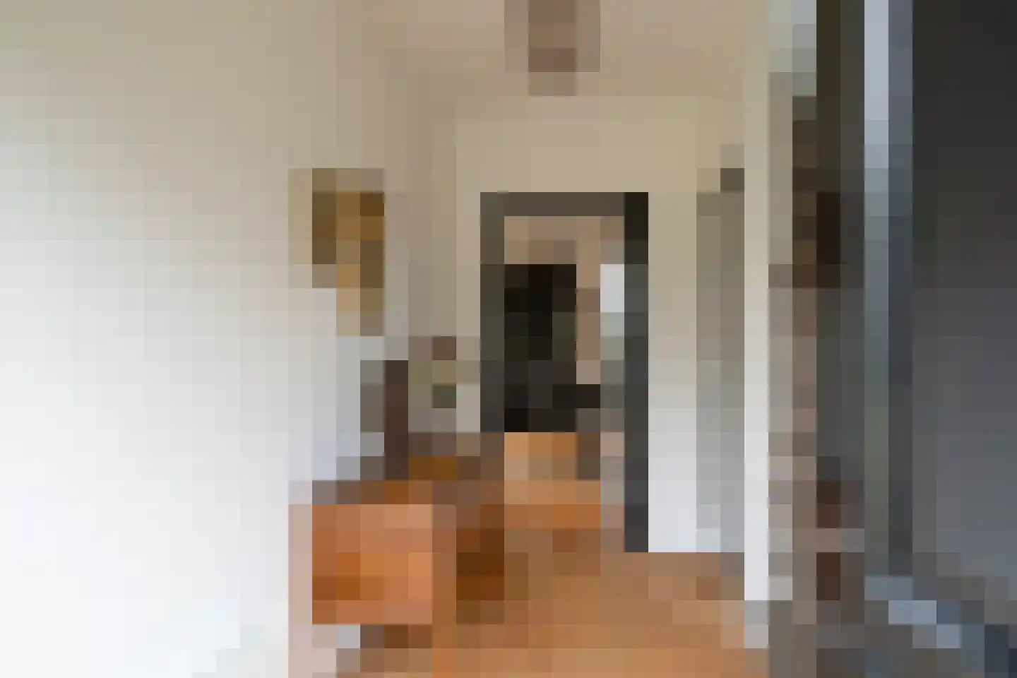 Oldenzaalsestraat 108 Losser thumbnail 6