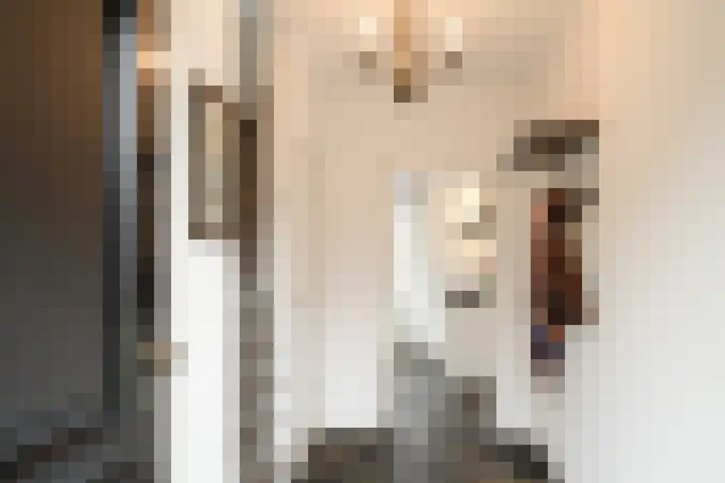 Oldenzaalsestraat 110 Losser thumbnail 10