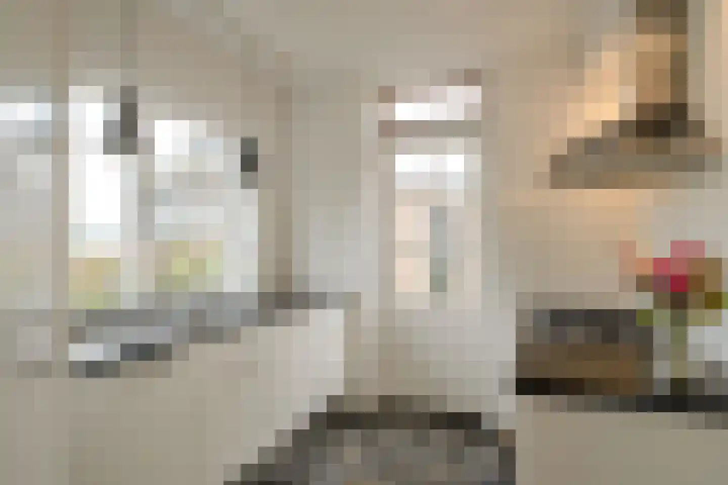 Oldenzaalsestraat 110 Losser thumbnail 20