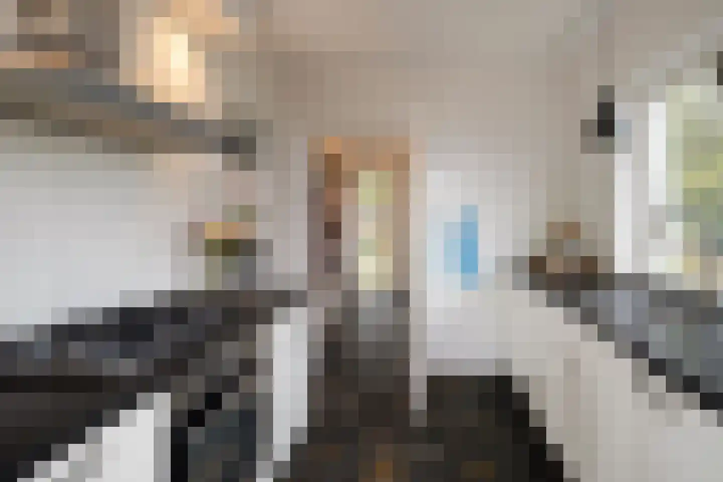 Oldenzaalsestraat 110 Losser thumbnail 21
