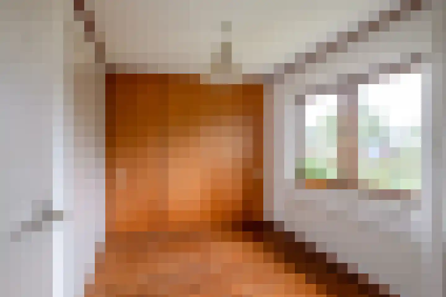 Oldenzaalsestraat 110 Losser thumbnail 24