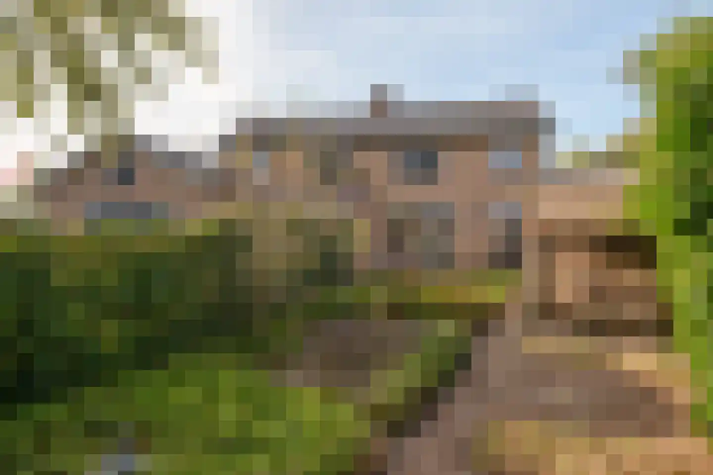 Oldenzaalsestraat 110 Losser thumbnail 38