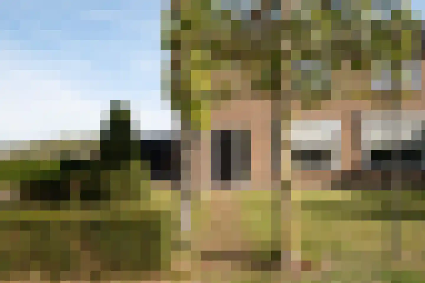 Oldenzaalsestraat 110 Losser thumbnail 8