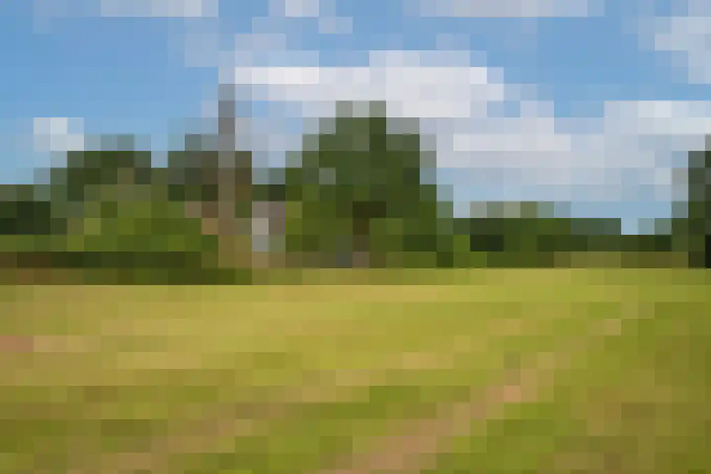 Oldenzaalsestraat 118 Losser thumbnail 18