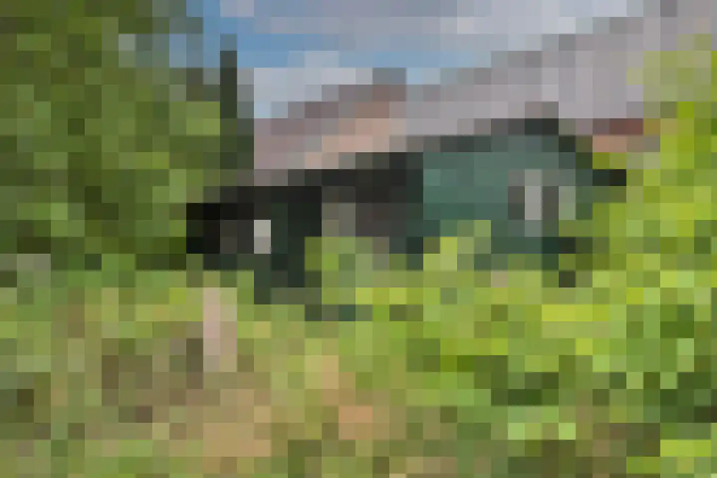 Oldenzaalsestraat 118 Losser thumbnail 21