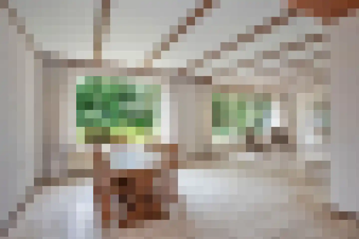 Oldenzaalsestraat 118 Losser thumbnail 32