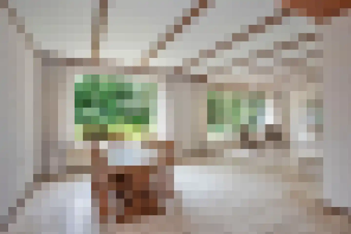 Oldenzaalsestraat 118 Losser thumbnail 32