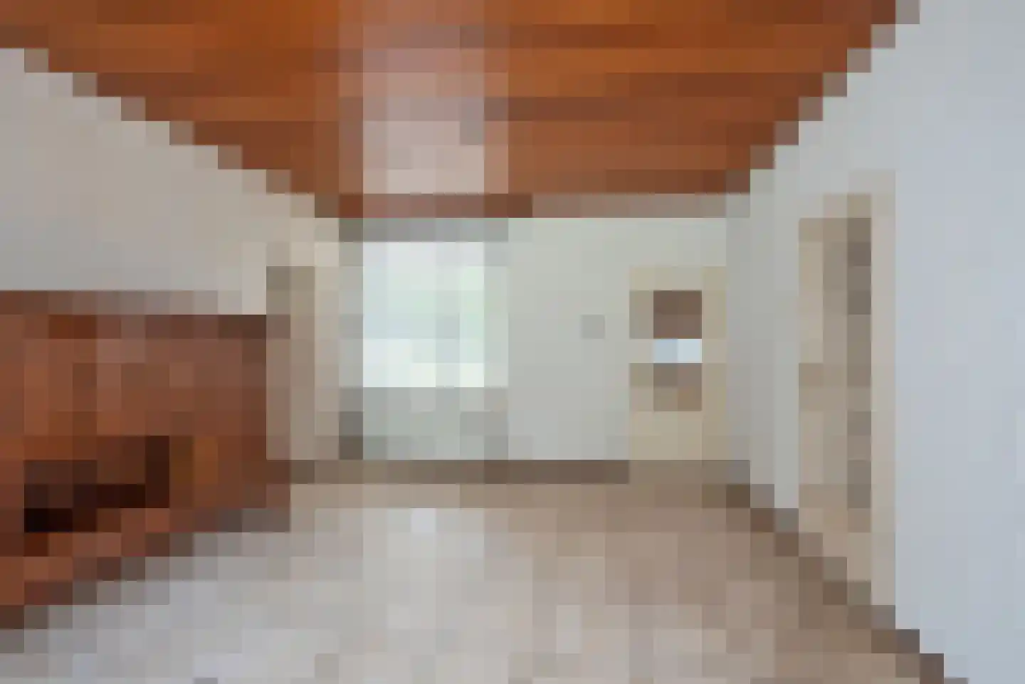 Oldenzaalsestraat 118 Losser thumbnail 36
