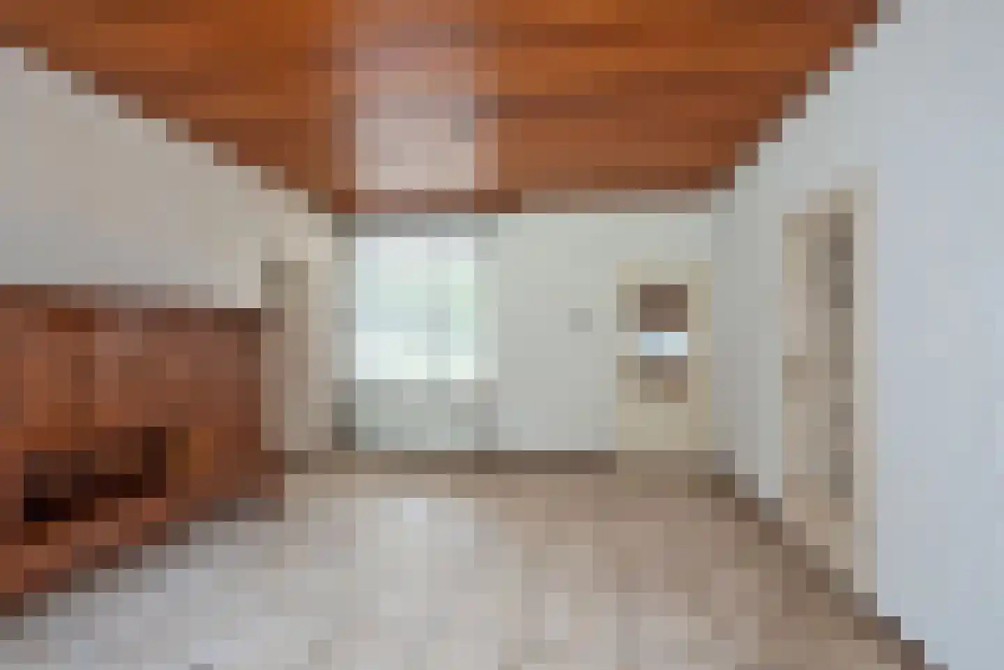 Oldenzaalsestraat 118 Losser thumbnail 36
