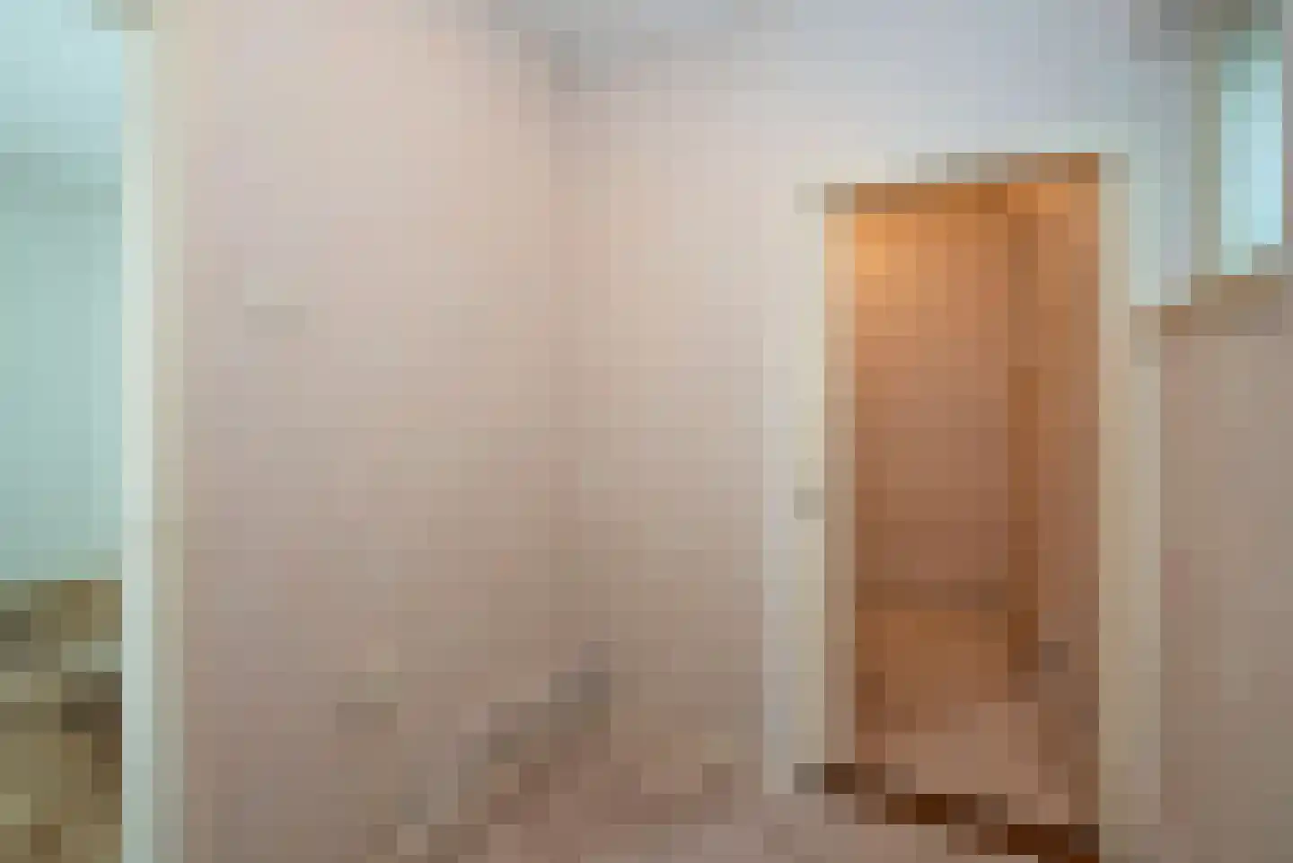 Oldenzaalsestraat 118 Losser thumbnail 40