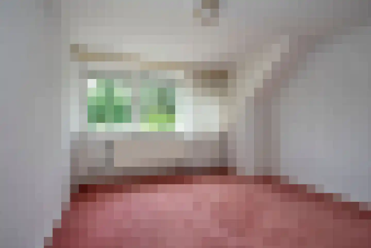 Oldenzaalsestraat 118 Losser thumbnail 49