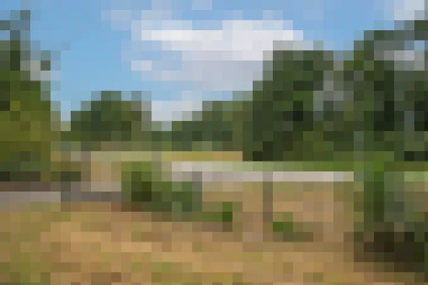 Oldenzaalsestraat 118 Losser thumbnail 6