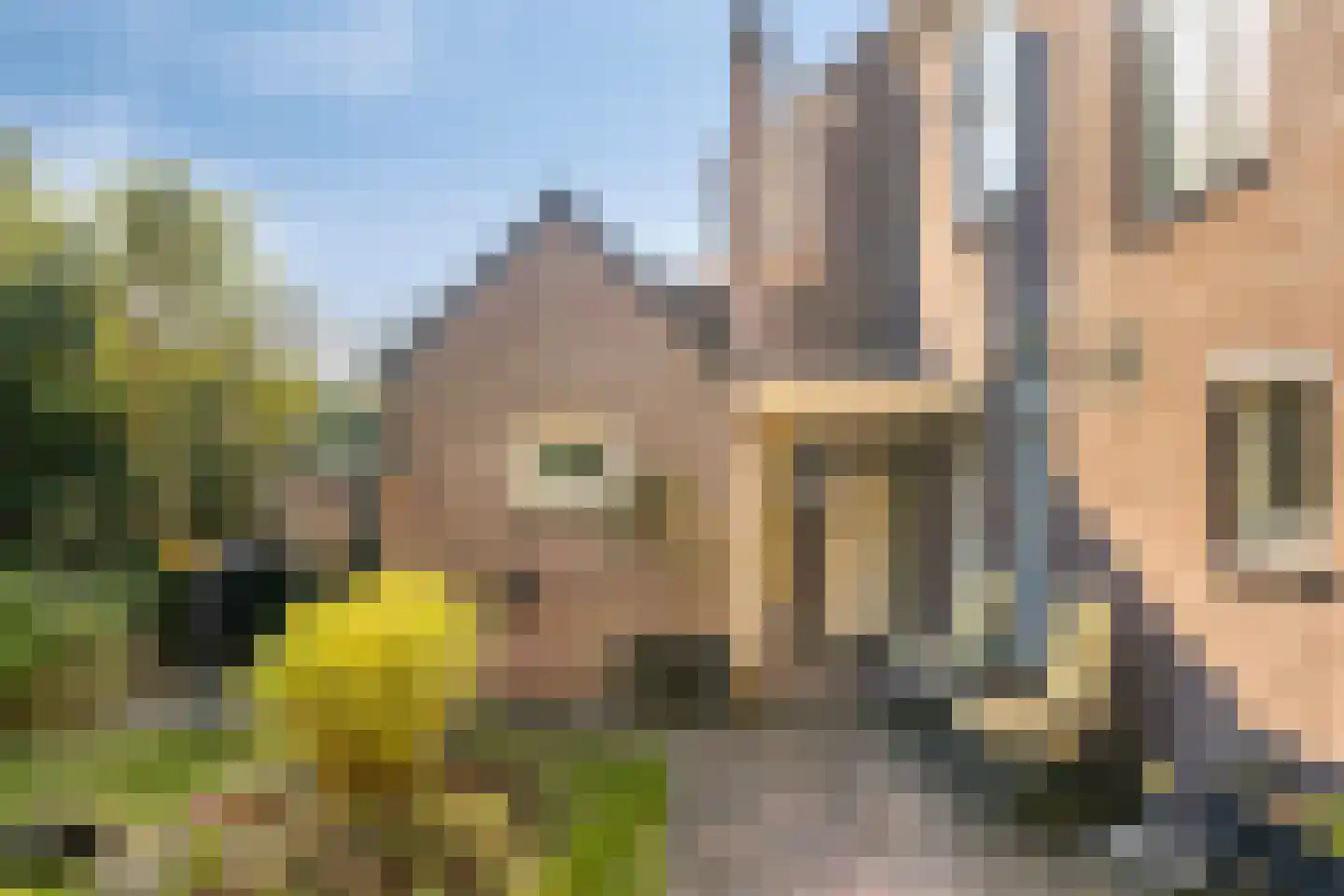 Oldenzaalsestraat 120 Enschede thumbnail 42