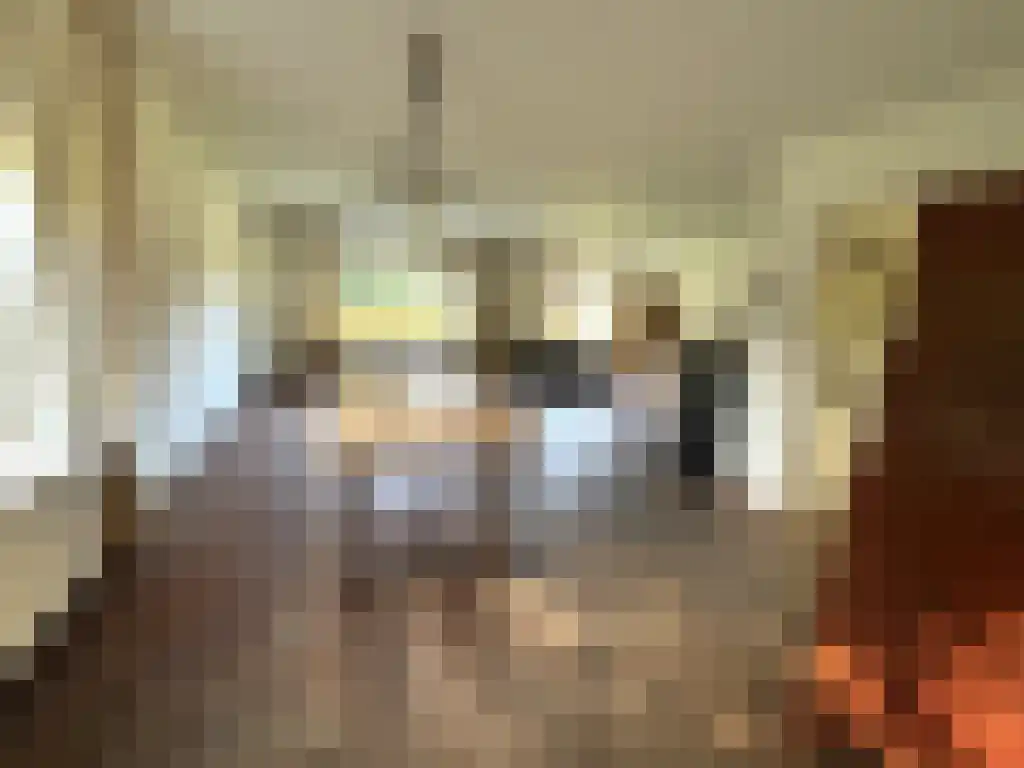 Oldenzaalsestraat 150 de Lutte thumbnail 6