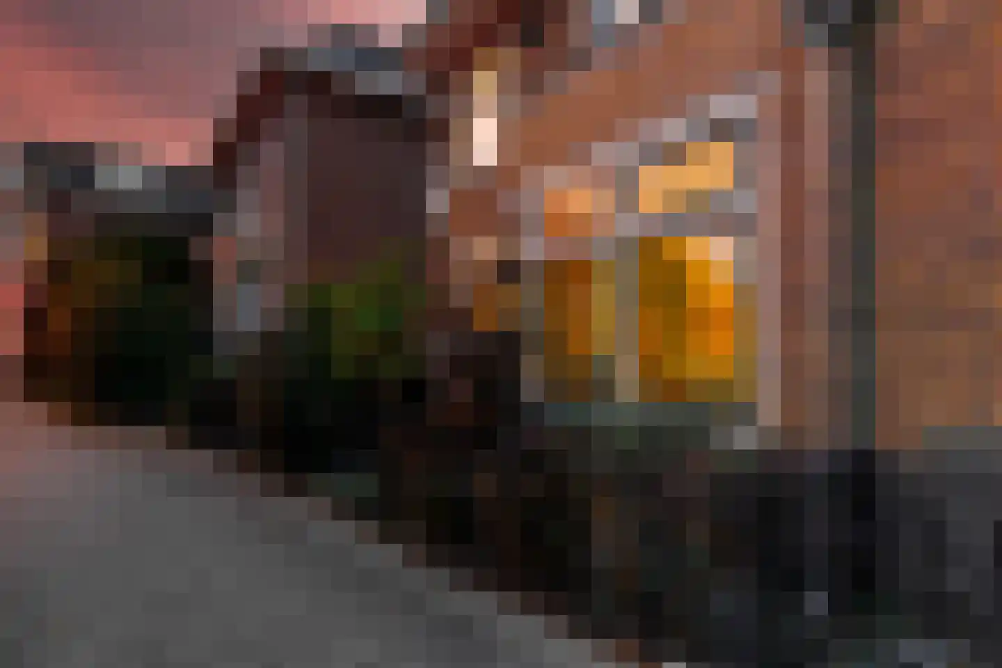 Oldenzaalsestraat 165 Enschede thumbnail 8