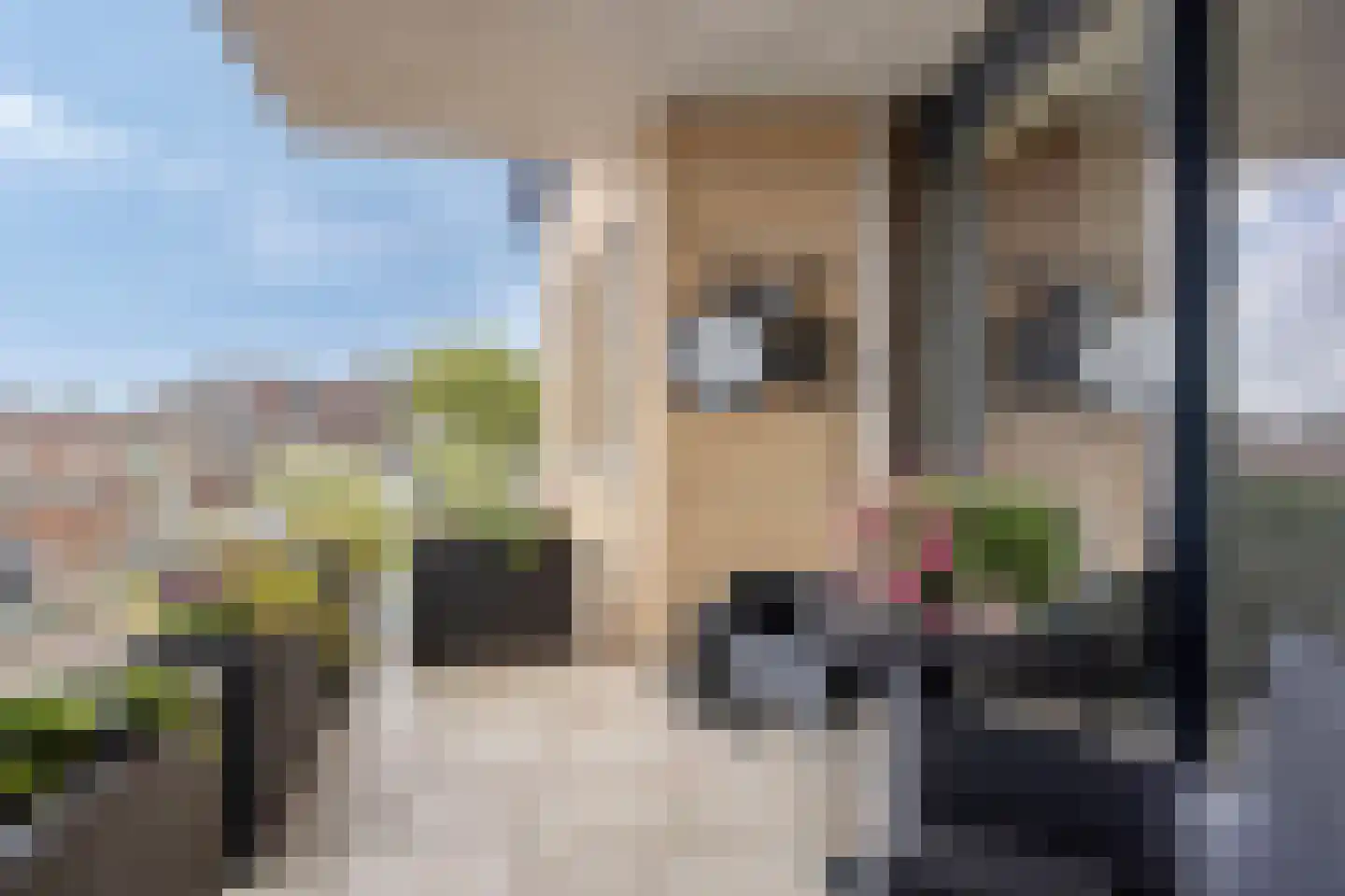 Oldenzaalsestraat 205 11 Hengelo thumbnail 17