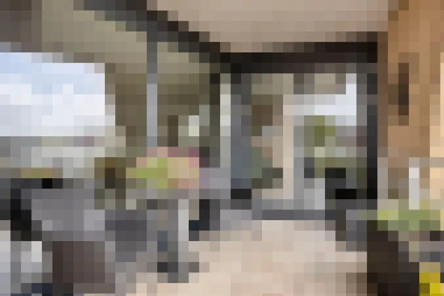 Oldenzaalsestraat 205 11 Hengelo thumbnail 19
