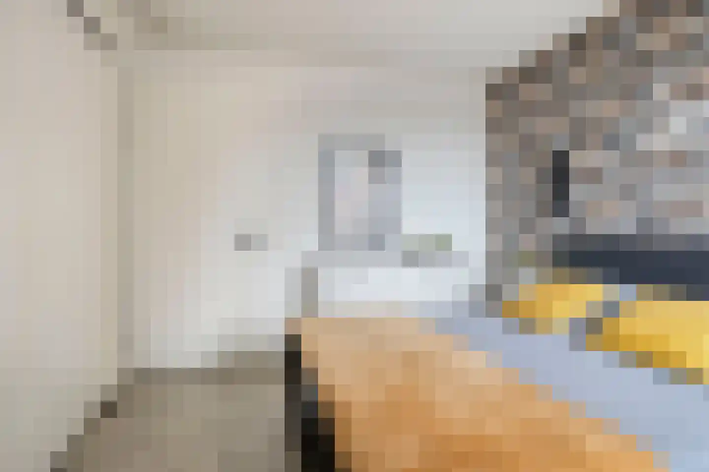Oldenzaalsestraat 205 11 Hengelo thumbnail 27