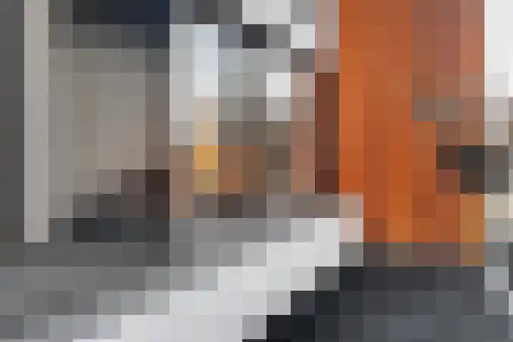 Oldenzaalsestraat 205 17 Hengelo thumbnail 14