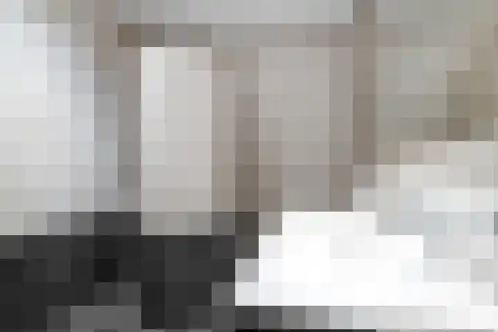 Oldenzaalsestraat 205 17 Hengelo thumbnail 33