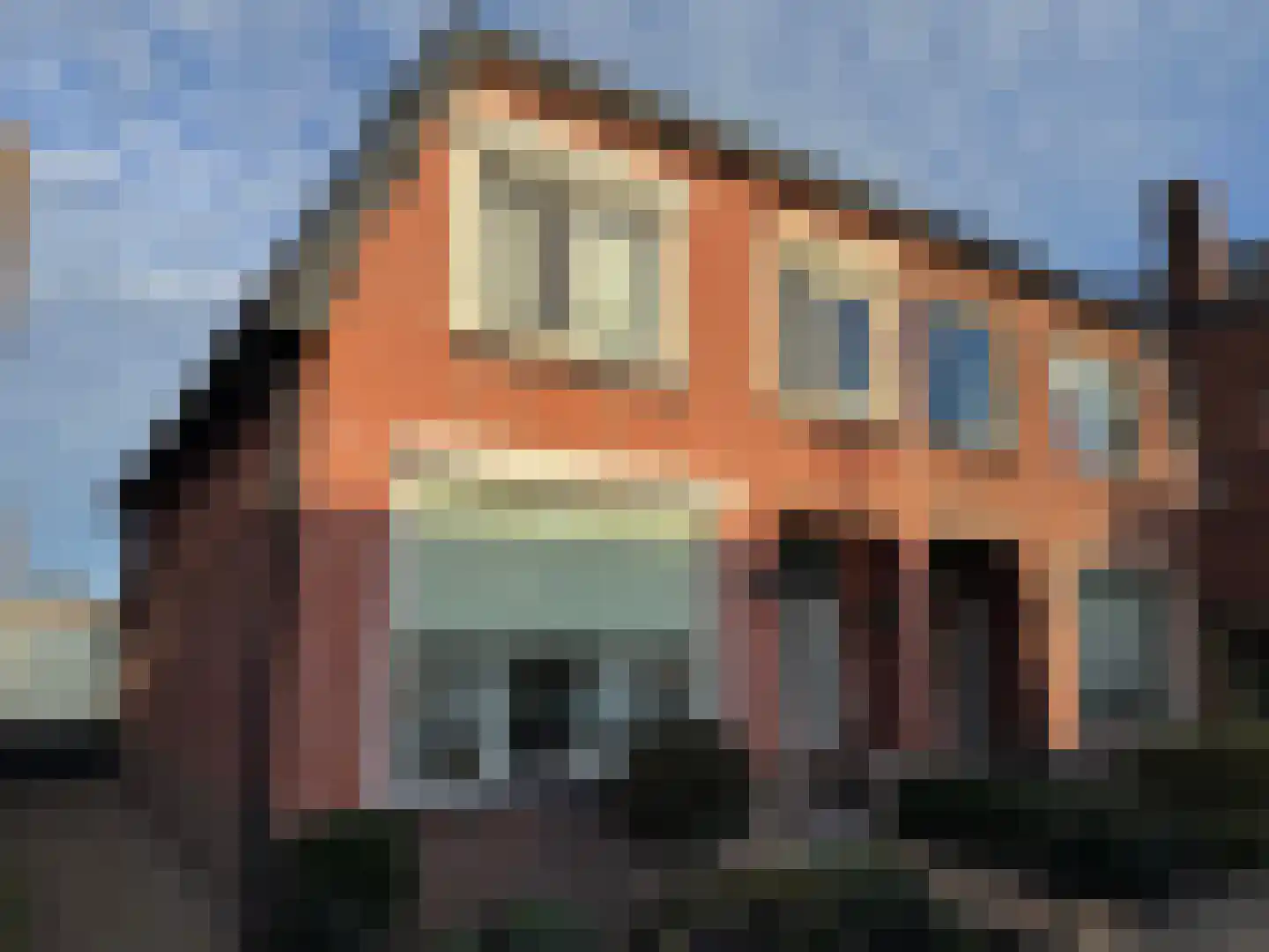 Oldenzaalsestraat 207 Hengelo thumbnail 8