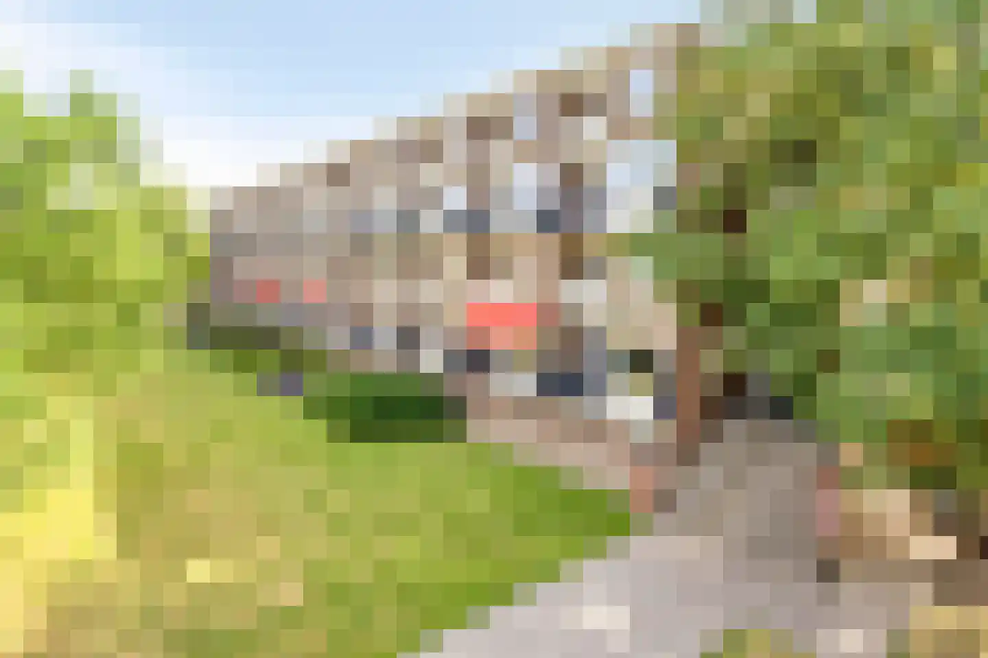 Oldenzaalsestraat 240 Enschede thumbnail 39
