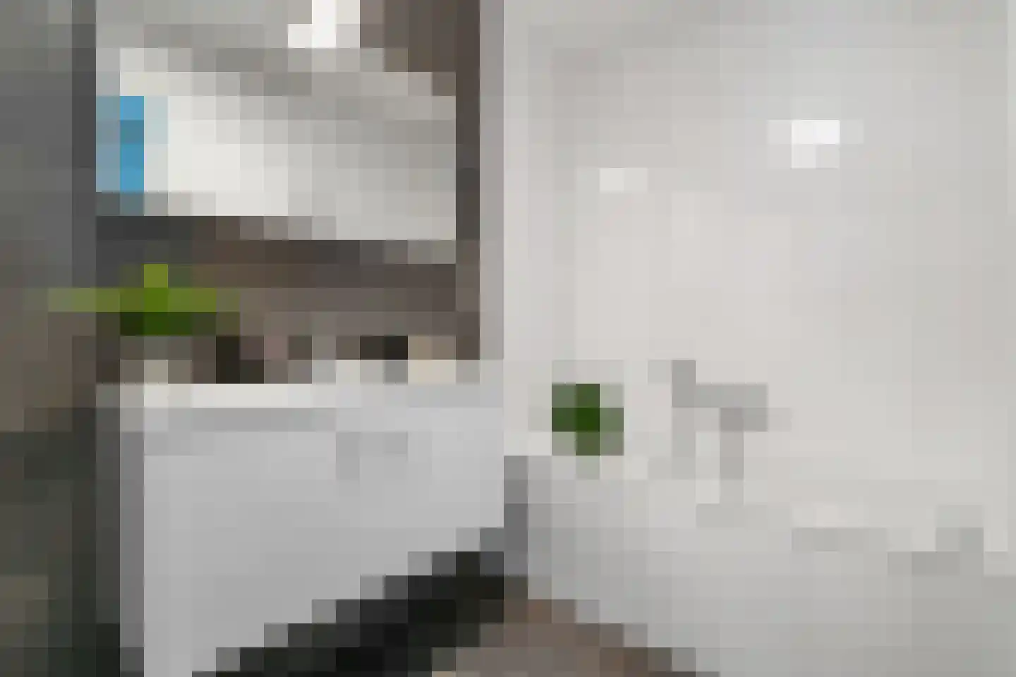 Oldenzaalsestraat 240 Hengelo thumbnail 20