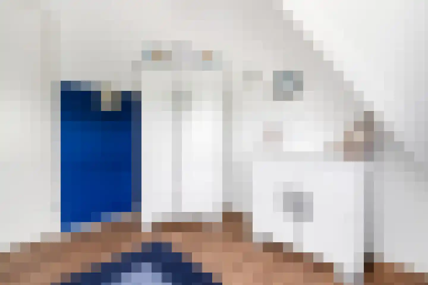 Oldenzaalsestraat 240 Hengelo thumbnail 32