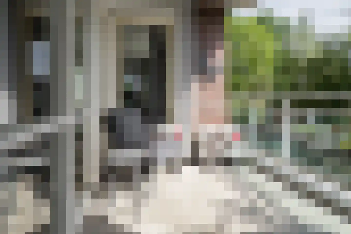 Oldenzaalsestraat 461 11 Hengelo thumbnail 13